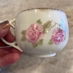 Rosenthal Bavaria teacup Roses porcelain mug